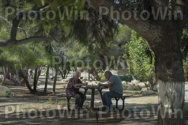 זוג מבוגרים נהנה ממשחק שח בפארק שטוף השמש, ממדינת ישראל. שולחן, דֶשֶׁא, פְּנַאִי