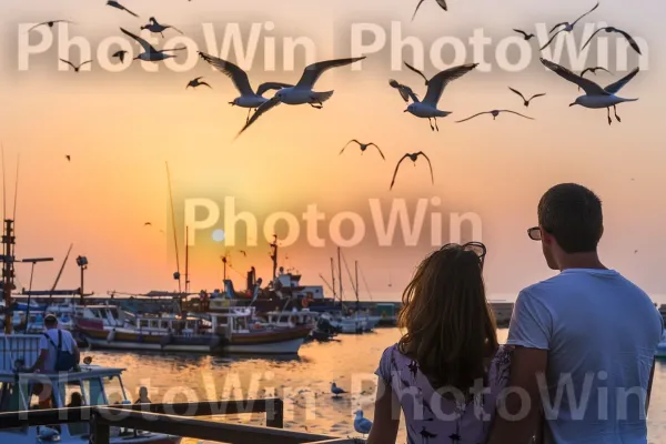 זוג צעיר צופה בשקיעה בנמל יפו, ממדינת ישראל. ציפור, כלי שיט, גוף של מים