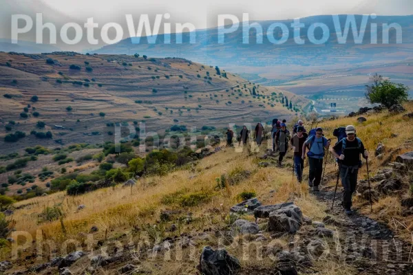 קבוצת חברים מטיילת ברמת הגולן, ממדינת ישראל. שָׁמַיִם, הַר, מִדרוֹן