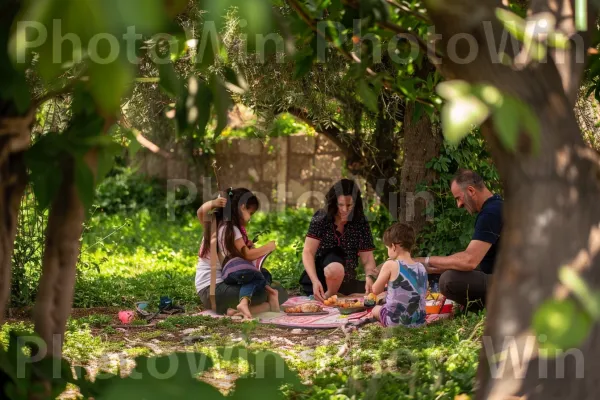 משפחות בפיקניק בגינה פורחת, ממדינת ישראל. צמח, עלה, שַׂמֵחַ