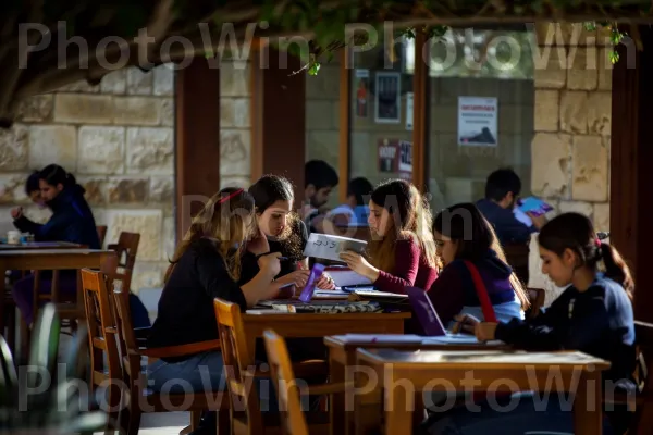 קבוצת סטודנטים לומדת בבית קפה, ממדינת ישראל. כִּסֵא, פְּנַאִי, חולצה קצרה