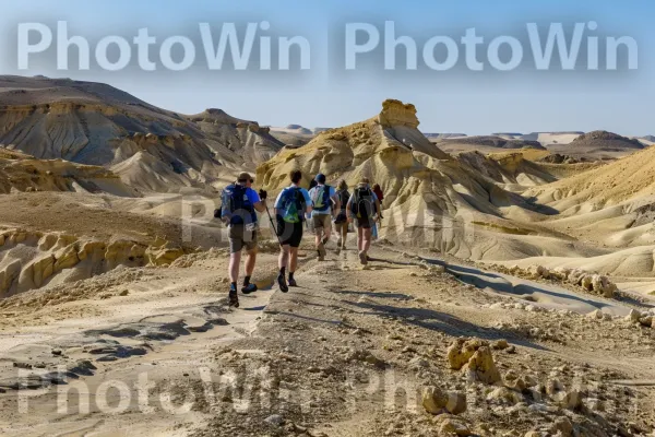 קבוצת מטיילים מטיילים במדבר הנגב, ממדינת ישראל. שָׁמַיִם, מִכְנָסַיִים קְצָרִים, טיול