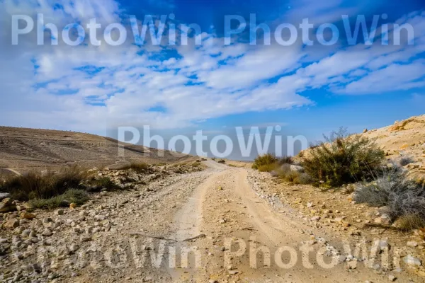 מסלולי טיול בנגב המהמם, ממדינת ישראל. צמח, שָׁמַיִם, אזור אקולוגי