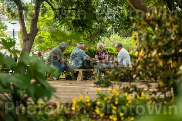 קבוצת קשישים משחקת שש בש בפארק, ממדינת ישראל. אנשים בטבע, אוֹר שֶׁמֶשׁ, דֶשֶׁא