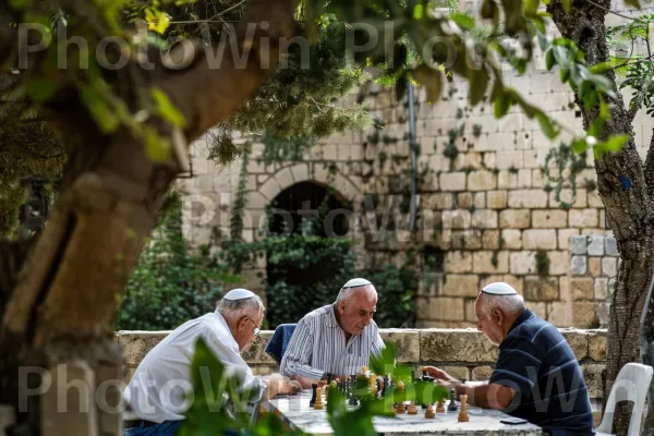 גברים מבוגרים העוסקים במשחק שחמט תוסס, ממדינת ישראל. ירוק, עֵץ, פְּנַאִי