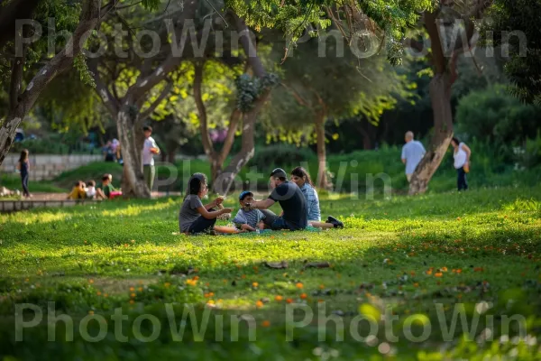 משפחות עושות פיקניק בפארק יפהפה, נהנות מהטבע, ממדינת ישראל. צמח, אנשים בטבע, סביבה טבעית