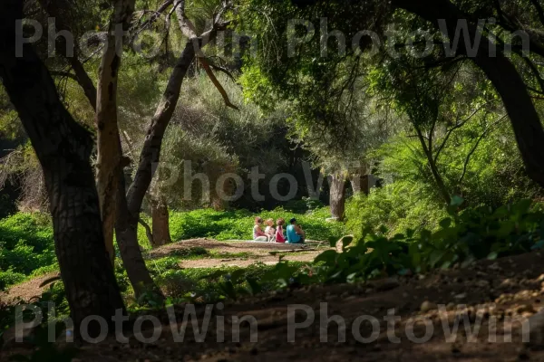 פיקניק משפחתי בגן לאומי עין חמד, ירוק שופע, רגעי שלווה, ממדינת ישראל. קהילת צמחים, אנשים בטבע, נוף טבעי