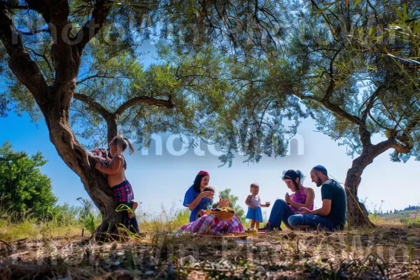 משפחות בפיקניק בצל מטע זיתים בגליל, ממדינת ישראל. קהילת צמחים, עֵץ, נוף טבעי