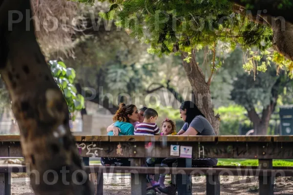 אמהות מפטפטות כשהן צופים בילדיהן משחקים בפארק, ממדינת ישראל. עץ, בית המקדש, עֵץ