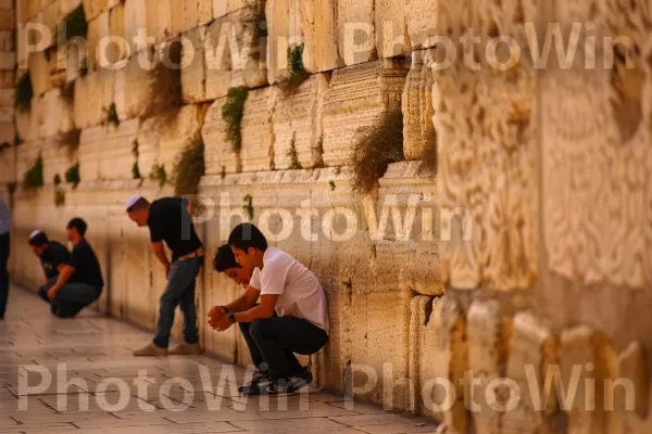 גברים מתפללים בכותל המערבי בירושלים, ממדינת ישראל. רַצָפוּת, כְּבִישׁ, מרוצף