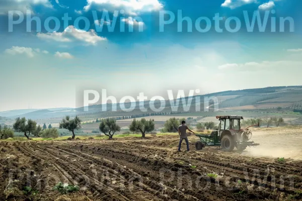 חקלאים מטפלים במטעי הזיתים שלהם בגליל, ממדינת ישראל. צמיג, רכב, עֵץ