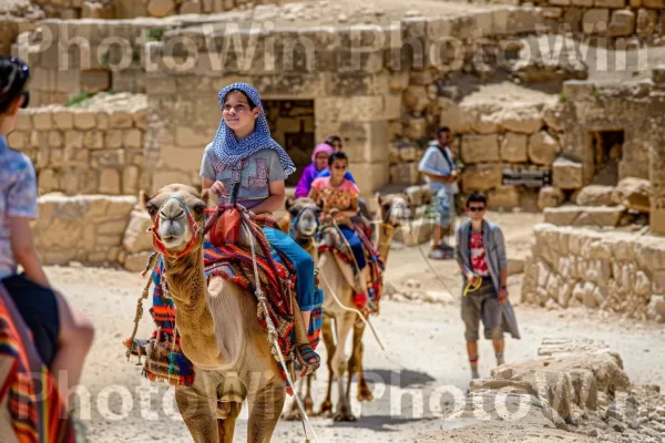 תיירים רוכבים על גמלים במדבר יהודה, ממדינת ישראל. חיה עובדת, קמל, נוֹף