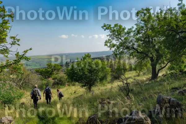 קבוצת חברים מטיילת ביערות רמת הגולן, ממדינת ישראל. צמח, אזור אקולוגי, שטח דשא