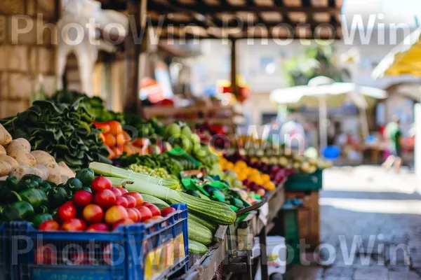 שוק שוקק רוכלים המוכרים פירות וירקות טריים ממדינת ישראל. צמח, מוכר, צמיג