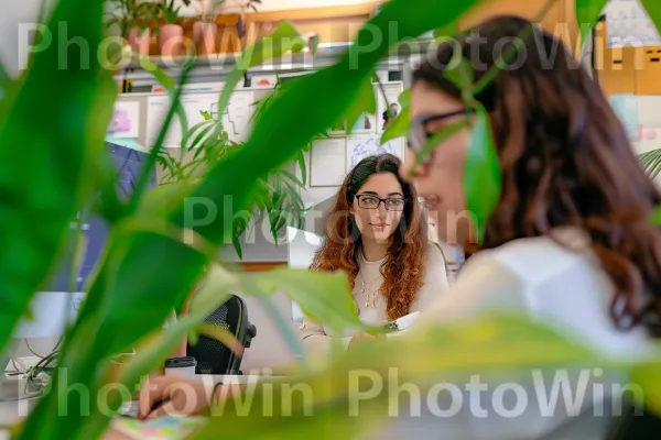 נשים עובדות בסטארט-אפ הייטק בתל אביב, ממדינת ישראל. ירוק, שַׂמֵחַ, צמח יבשתי