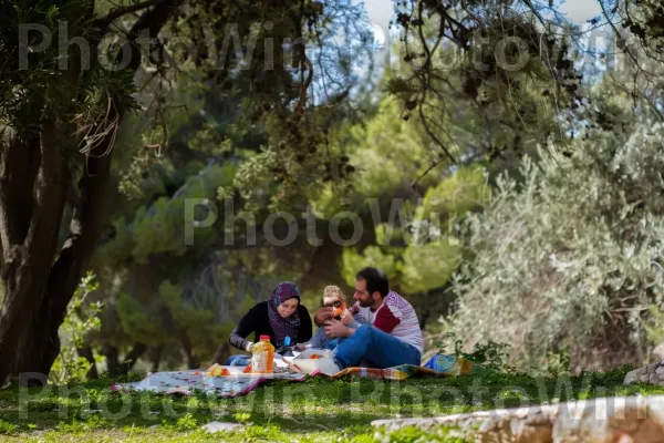 משפחה נהנית מפיקניק בפארק ירושלמי, ממדינת ישראל. גִ\'ינס, אנשים בטבע, צִמחִיָה