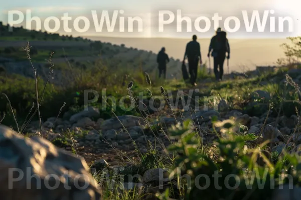 חברים מטיילים באזור הגליל הנופי, ממדינת ישראל. ענן, שָׁמַיִם, צמח