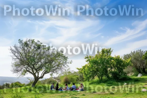 קבוצת חברים נהנית מפיקניק בגליל, ממדינת ישראל. שָׁמַיִם, ירוק, עֵץ