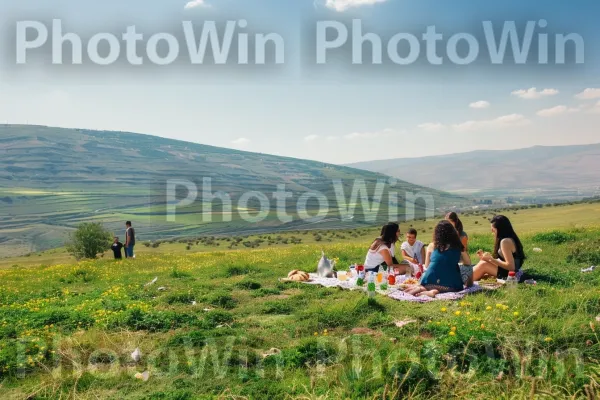 קבוצת חברים נהנית מפיקניק ברמת הגולן ממדינת ישראל. הַר, נוף טבעי, בילוי בחוץ