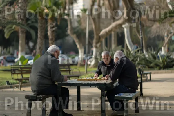 גברים מבוגרים משחקים שש בש בפארק תל אביבי, ממדינת ישראל. שולחן, עֵץ, סַפְסָל