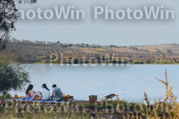 חברים נהנים מפיקניק נינוח ליד אגם שקט, ממדינת ישראל. אזור אקולוגי, נוף טבעי, סביבה טבעית