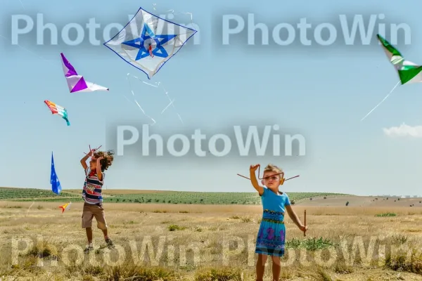 ילדים מעיפים עפיפונים בשדה שטוף שמש ופתוח, ממדינת ישראל. צמח, אזור אקולוגי, טֶבַע