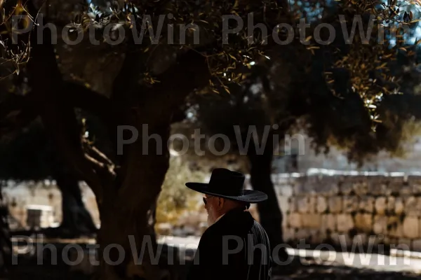 רגעים נצחיים בישראל הישנה שנתפסו בסרט. צמח, כובע שמש, תְאוּרָה