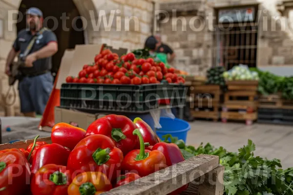 רוכלי רחוב כפריים מוכרים תוצרת טרייה בנצרת. מזון, פרי, עגבניות בוש