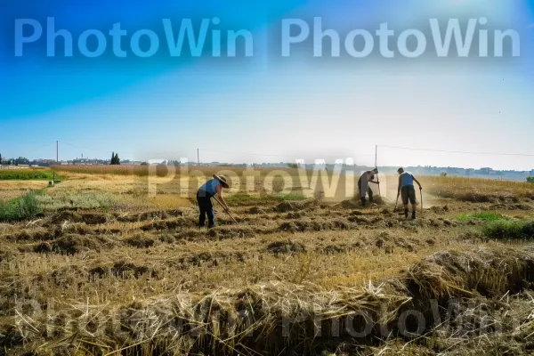 חקלאים מנשקי שמש עובדים את האדמה בירושלים. שָׁמַיִם, אנשים בטבע, צמח