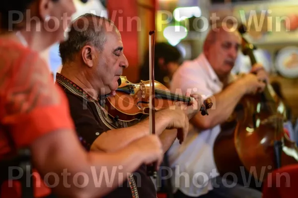 תמונה קלאסית של מוזיקאים מנגנים בבית קפה בטבריה. כלי נגינה, משפחת כינורות, מוּסִיקָאִי