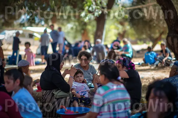 כינוס קהילתי שליו בצפון הארץ. צמח, אינטראקציה, כובע