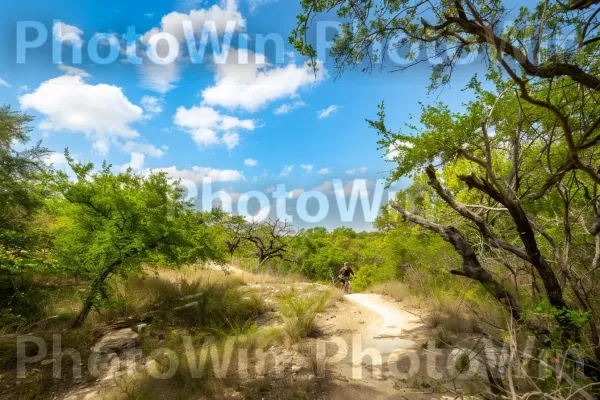 רוכב הרים מנווט בשביל. צמח, שָׁמַיִם, קהילת צמחים