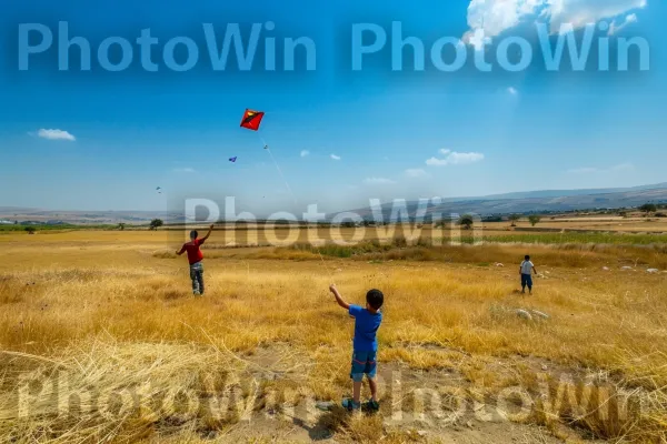 ילדים מעיפים עפיפונים בשדות בקעת הירדן, ממדינת ישראל. שָׁמַיִם, שטח דשא, נוף טבעי