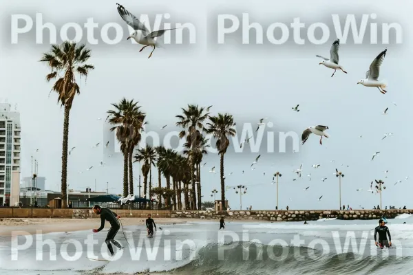 גולשים תופסים גלים בחופי נתניה, ממדינת ישראל. ציפור, שְׁעוֹת הַיוֹם, גוף של מים