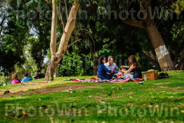 משפחה נהנית מפיקניק בפארק תל אביב, ממדינת ישראל. דֶשֶׁא, פְּנַאִי, צמח עצי