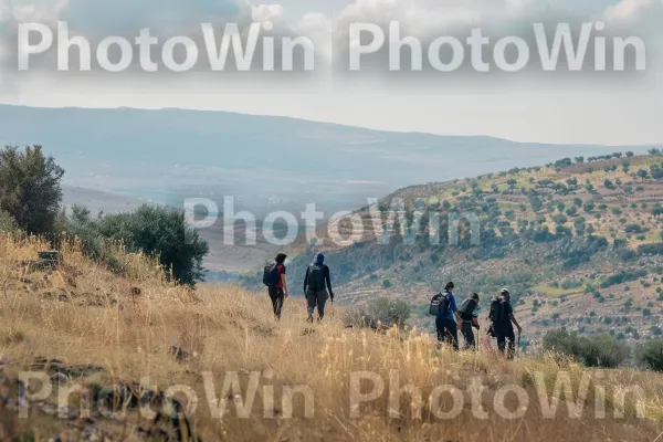 חברים מטיילים ברמת הגולן ונופים עוצרי נשימה, ממדינת ישראל. שָׁמַיִם, צמח, אנשים בטבע