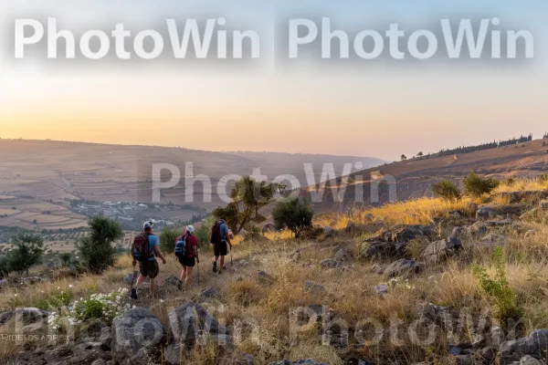 חברים מטיילים ברמת הגולן בזריחה, ממדינת ישראל. שָׁמַיִם, הַר, אנשים בטבע