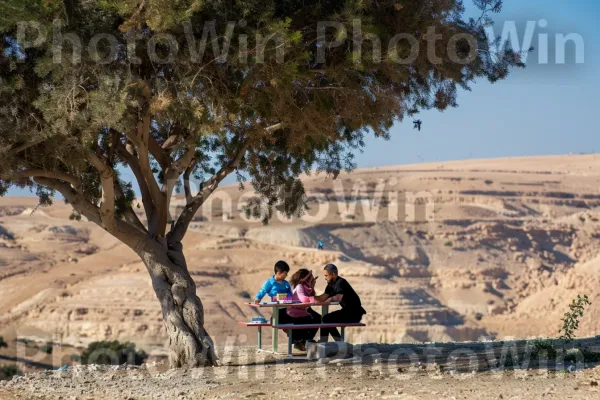 משפחה נהנית מפיקניק במדבר הנגב, ממדינת ישראל. צמח, שָׁמַיִם, עֵץ