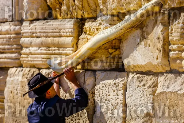 תוקע בשופר בכותל בירושלים, ממדינת ישראל. צהוב, לְבֵנָה, כובע