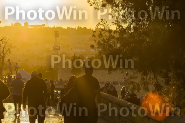 עולי רגל מבקרים באתרים קדושים בבית לחם, ממדינת ישראל. צמח, עֵץ, מחווה