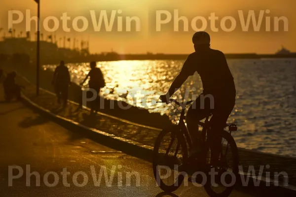 רוכב אופניים לאורך חוף הים התיכון, ממדינת ישראל. אופניים, גַלגַל, מים