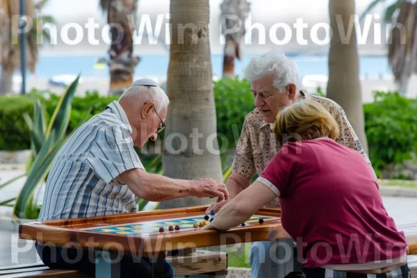 בוגרים משחקים שש בש על ספסל בחיפה, ממדינת ישראל. שָׁמַיִם, שולחן, עץ