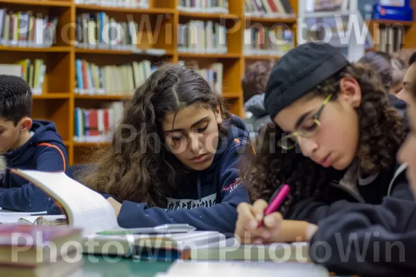 קבוצת סטודנטים לומדת יחד בספרייה בבאר שבע, ממדינת ישראל. מַדָף, סֵפֶר, הַנדָסָה