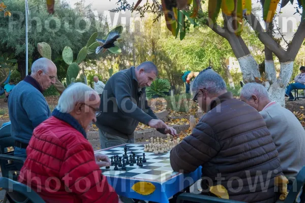 קבוצת קשישים משחקים שחמט בפארק, ממדינת ישראל. עֵץ, קהילה, כִּסֵא