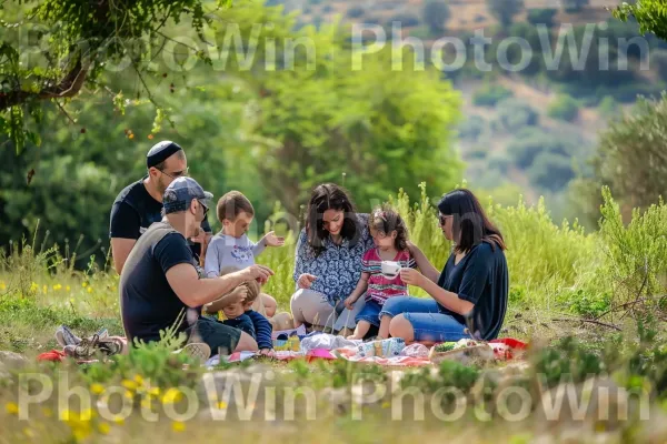 משפחות בפיקניק בירוק השופע של אזור הגליל, ממדינת ישראל. צמח, נוף טבעי, עֵץ