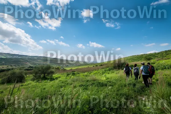 חברים מטיילים באזור הגליל, ממדינת ישראל. צמח, נוף טבעי, דֶשֶׁא