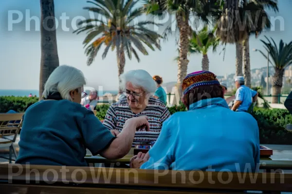 בוגרים משחקים שש בש על ספסל בחיפה, ממדינת ישראל. משקפיים, כִּסֵא, פְּנַאִי