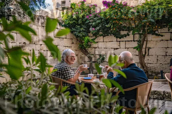 שכנים מפטפטים על קפה בחצר שקטה, ממדינת ישראל. צמח, תכונה, רְהִיטִים