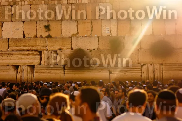 קהל מתפללים מתפללים בכותל המערבי בירושלים ממדינת ישראל. אוֹר, כתום, תְאוּרָה