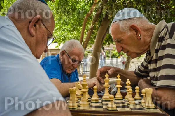 גברים מבוגרים עסקו במשחק שחמט נמרץ בפארק, ממדינת ישראל. משקפיים, שיתוף, עץ